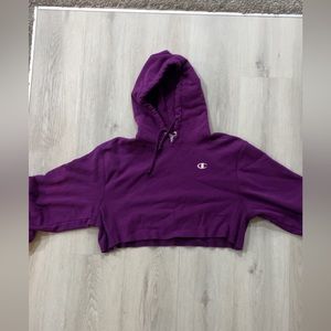 cropped champion hoodie